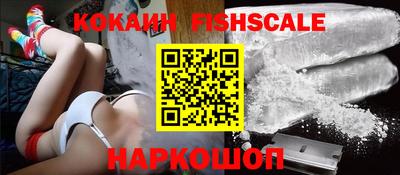 гашик Будённовск