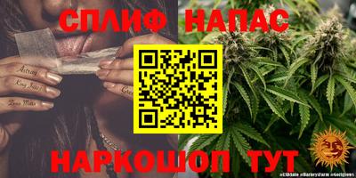 гашик Будённовск