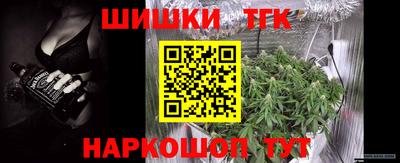 гашик Будённовск
