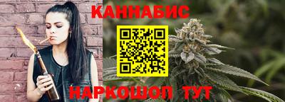 гашик Будённовск