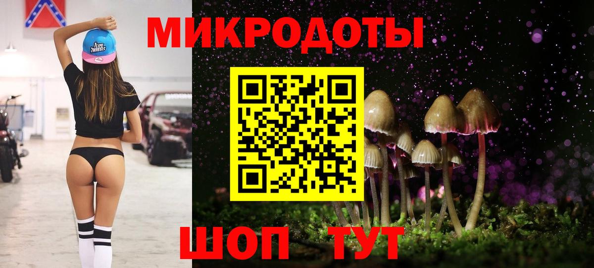 Галлюциногенные грибы прущие грибы Тимашёвск